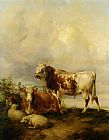 A Bull and Cow with Two Sheep and Goat by Thomas Sidney Cooper